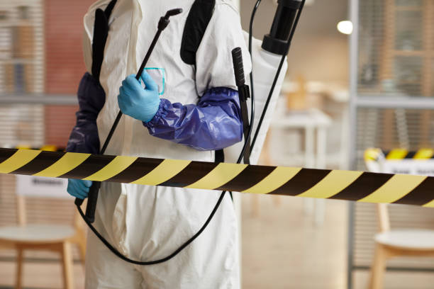Professional Sewage Cleanup technician working in Lake Worth, FL